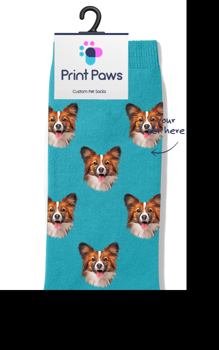 Custom Pet Socks Background