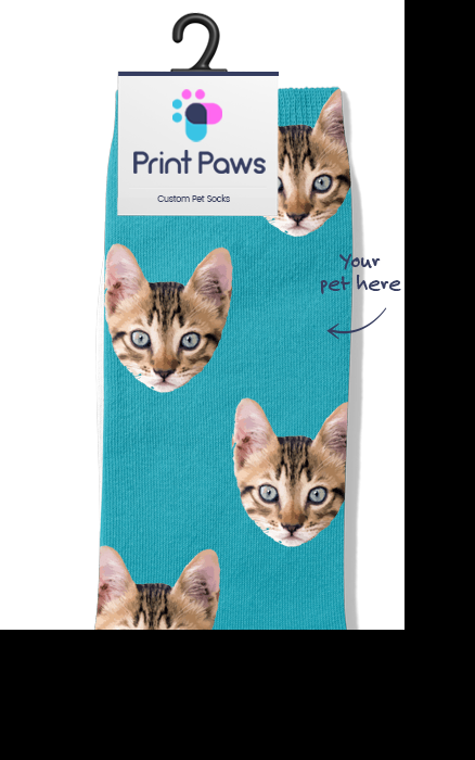 Custom Cat Socks Background