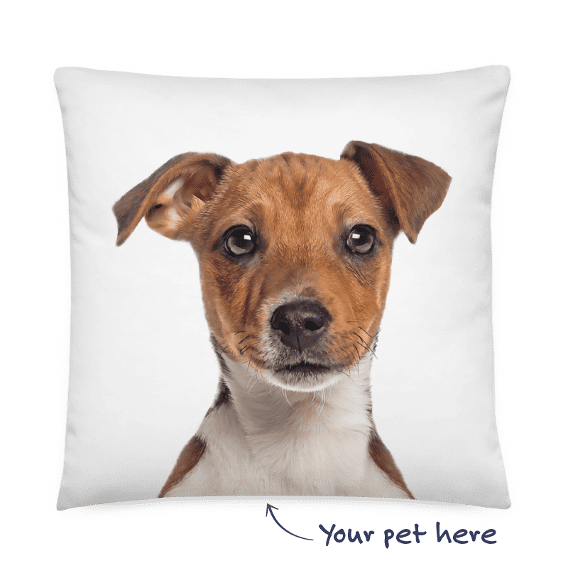 custom-dog-pillow-bg