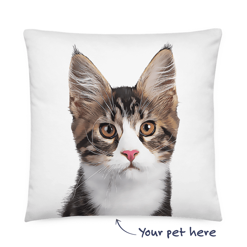 Custom Cat Pillow Background