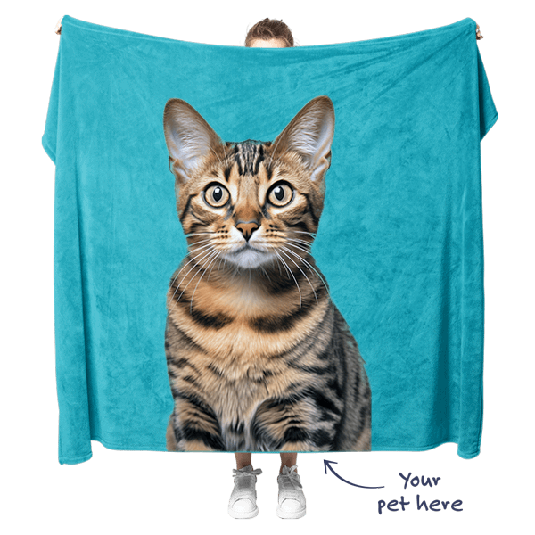 Custom Cat Blanket BG