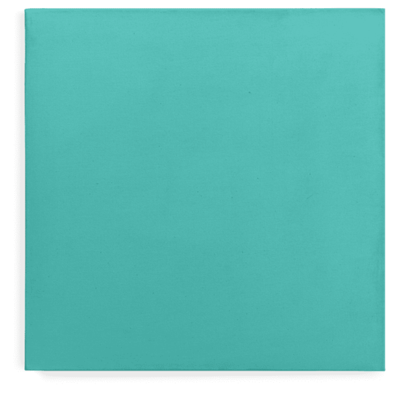 Custom Cat Canvas Turquois