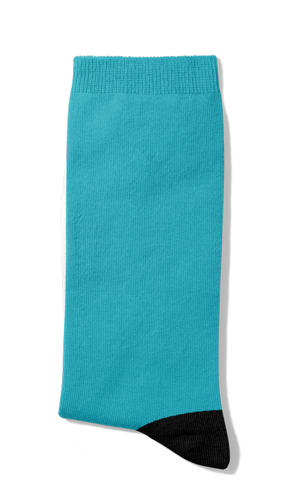 Custom Dog Socks Turquoise