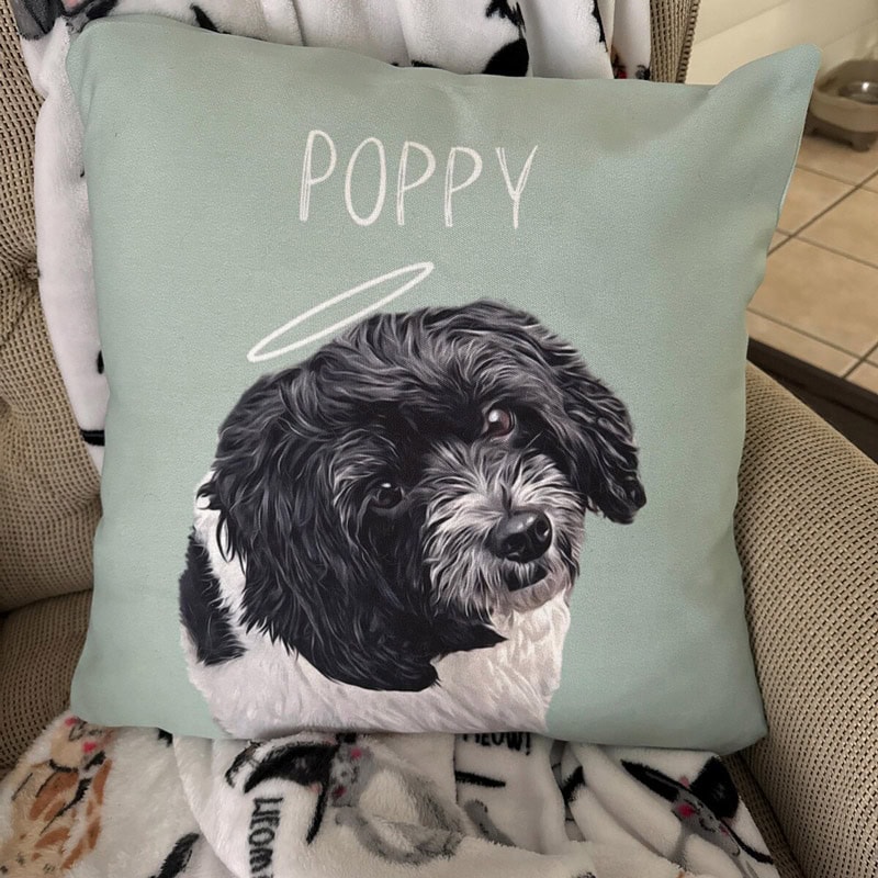 Custom Pet Pillow Example