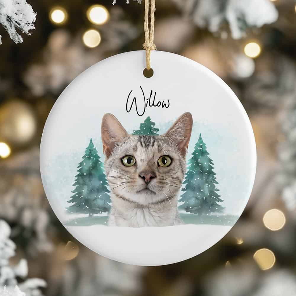 cat christmas ornaments personalized