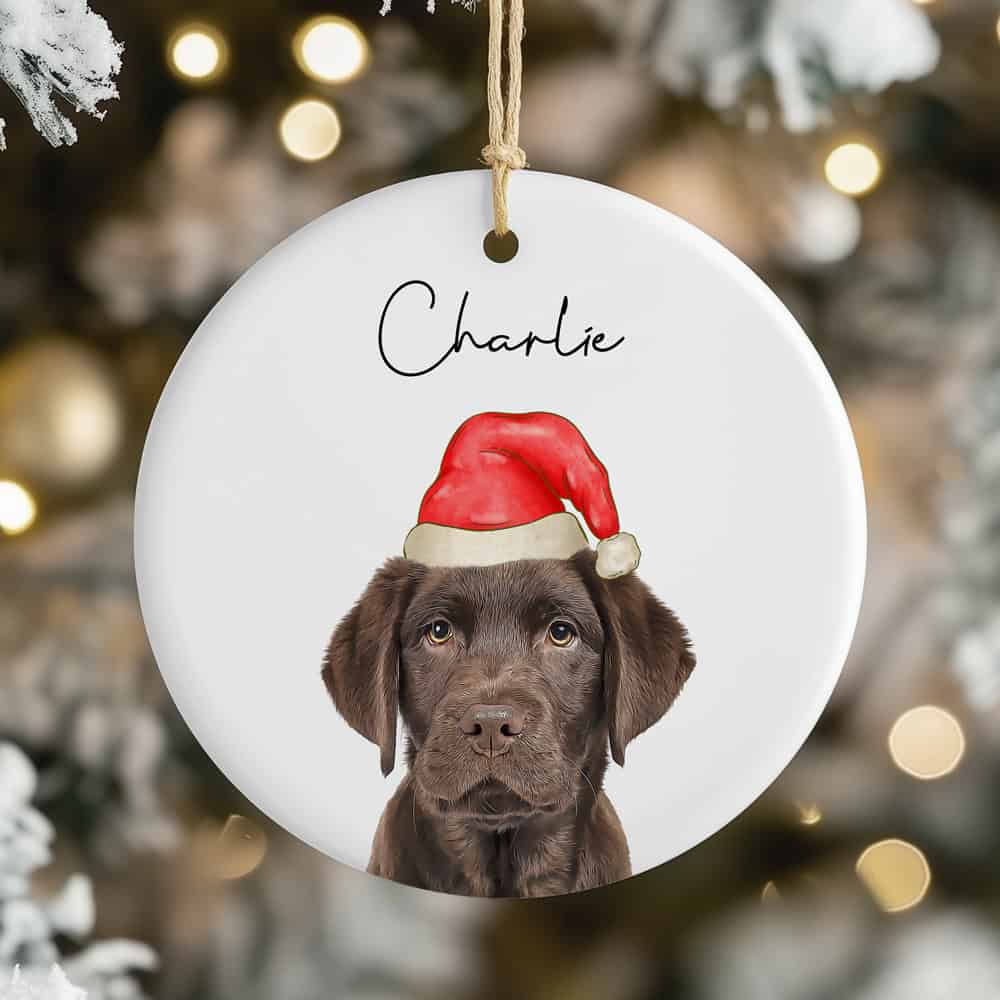 dog ornament santa hat tree